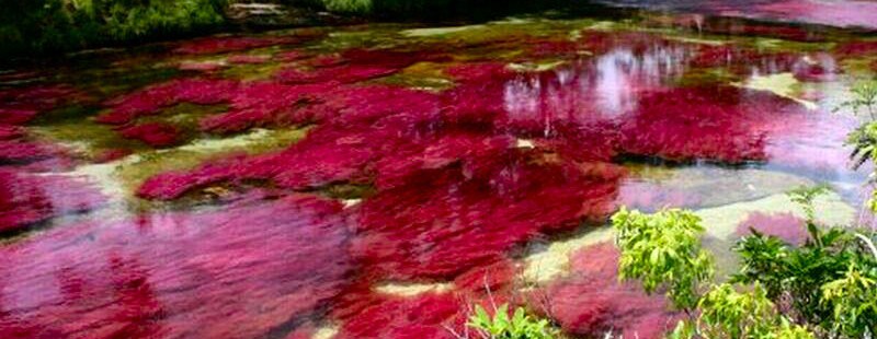 corsi colore roma