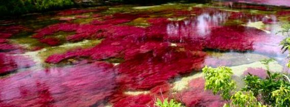 NASCE OGGI IL COROLLARIO DI COLORE E …