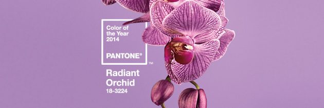 PANTONE ANNUNCIA IL COLORE DELL’ANNO 2014!