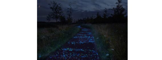 PEDALANDO NELLA NOTTE STELLATA