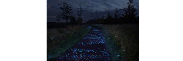 PEDALANDO NELLA NOTTE STELLATA