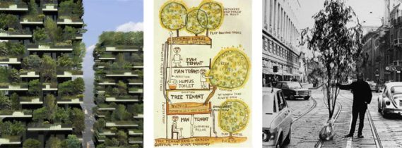 L’ALBERO-INQUILINO NEL BOSCO VERTICALE DI MILANO