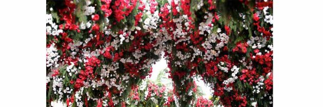 A MONTISOLA UNA FAVOLOSA FESTA DI FIORI E COLORI