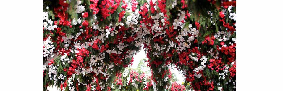 A MONTISOLA UNA FAVOLOSA FESTA DI FIORI E COLORI