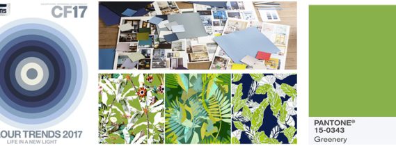 COLORE DELL’ANNO: TANTO RUMORE PER NULLA!